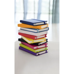 Master Notes - Violetti