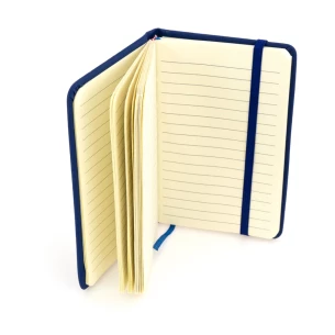 Master Notes - Violetti